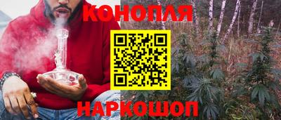 крисы Балашиха