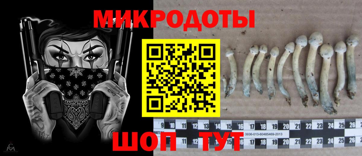 Галлюциногенные грибы GOLDEN TEACHER  Галлюциногенные грибы GOLDEN TEACHER  Губаха  Вход с VPN 