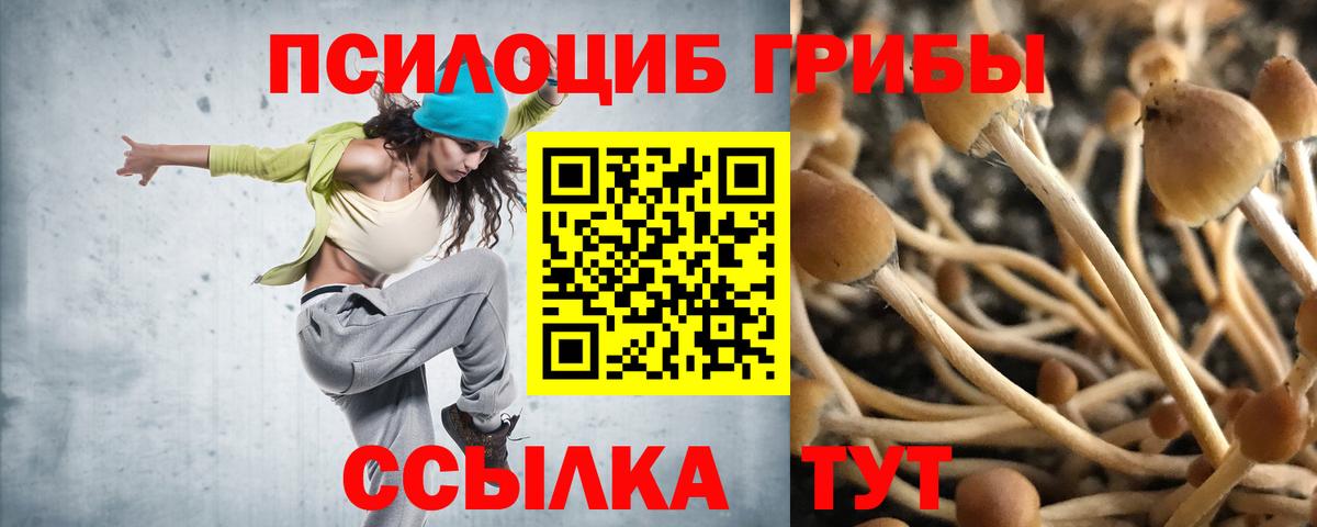 Псилоцибиновые грибы Magic Shrooms Губаха